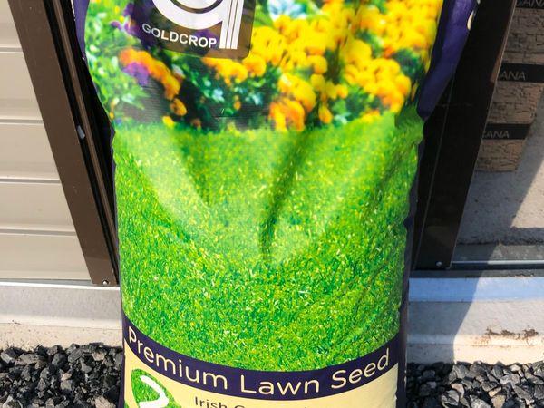 Premium lawn seed