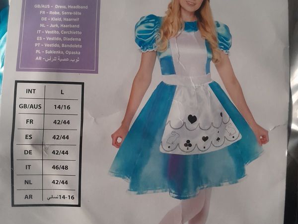 Alice in Wonderland and Cinderella costumes
