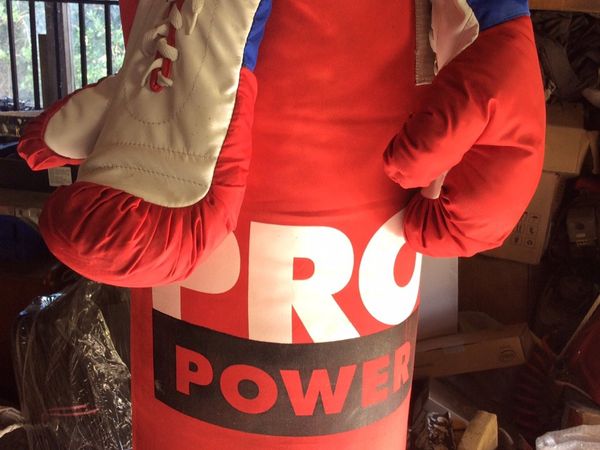 Boxing punching bag with gloves
