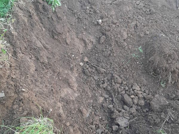 Top soil free for large loads, take away only