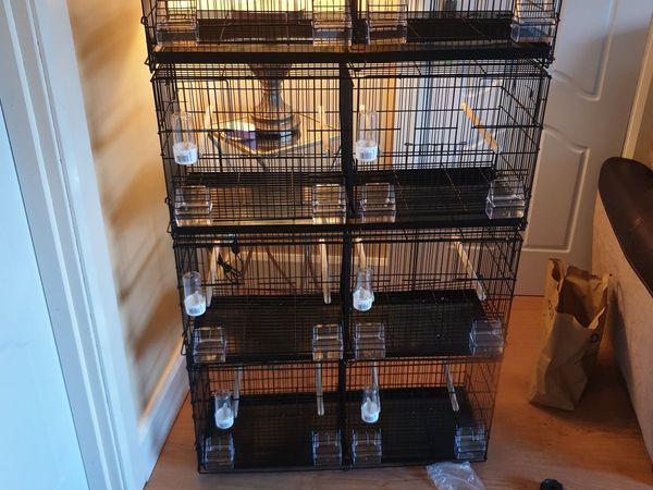 Canary’s and Cages