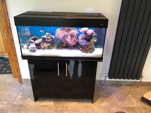 Aqua Vogue Fish Tank