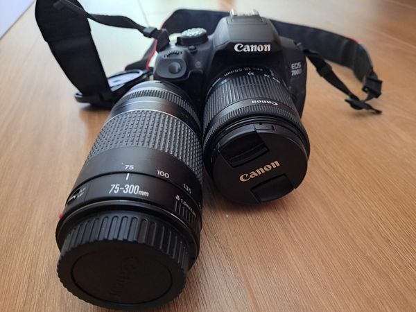 Canon EOS 700D with an extra 75-300 lens