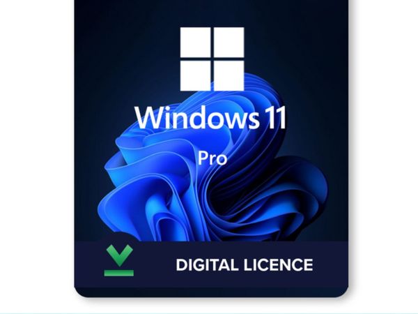 Windows 11  Pro