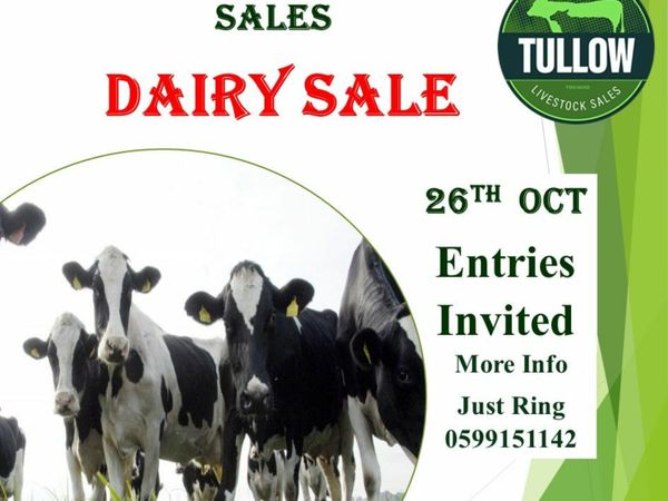🔥 Dairy Sale 26th Oct - Tullow Mart  🔥