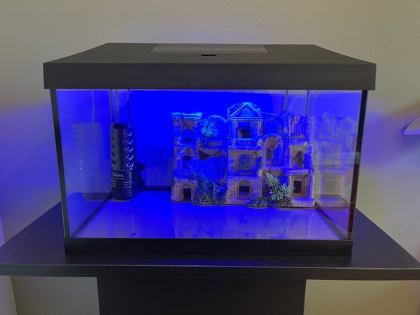Fish Tank, Stand and accessories