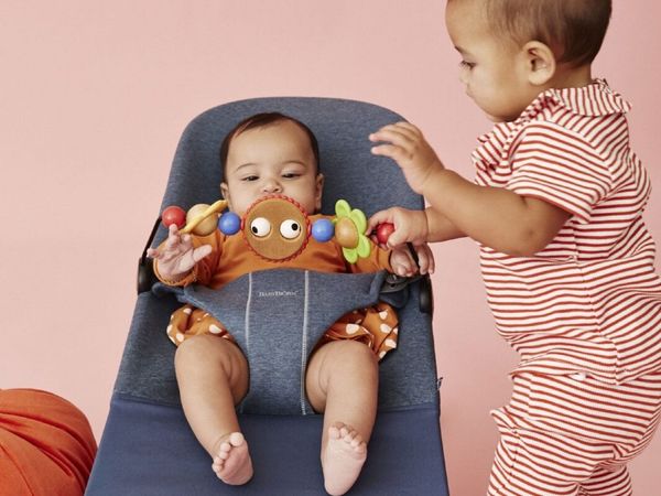 Babybjorn bouncer toy
