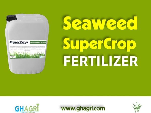 Seaweed fertilizers