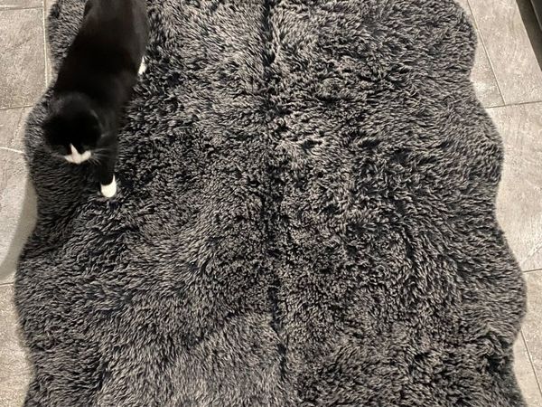 2x Super Furry Comfy Rugs (122x180) (cat not included:)