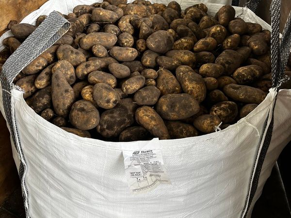 Potatoes €100 bulk bag