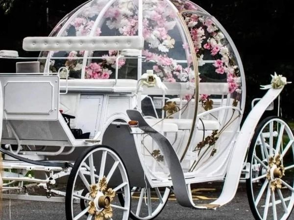 Cinderella Carriages for  hire from €500