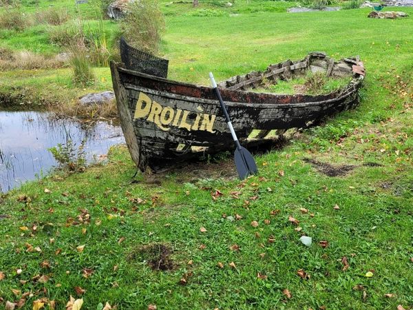 antique vintage boat garden deco Connemara curragh