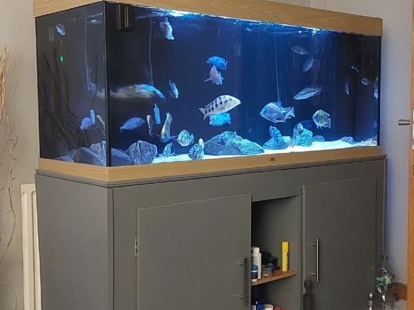 Aquarium 450 litres + Fx4 filters