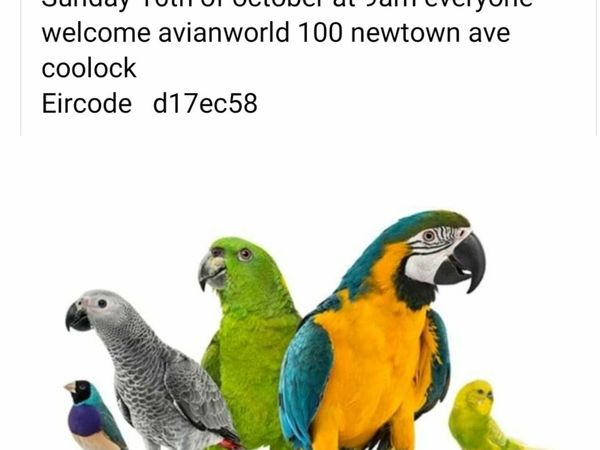 Avianworld sales day sunday oct 16th