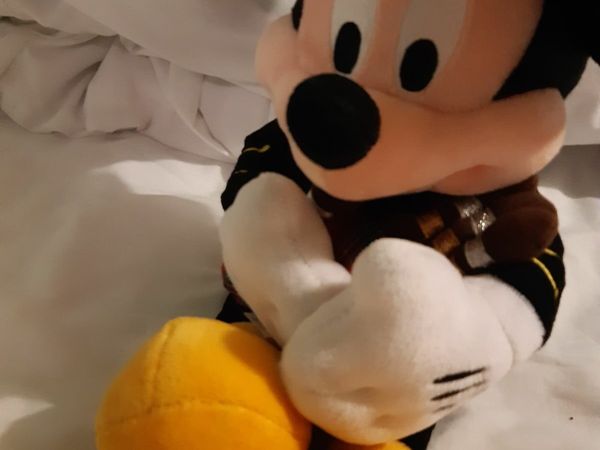 Mickey and minnie mouse teddies