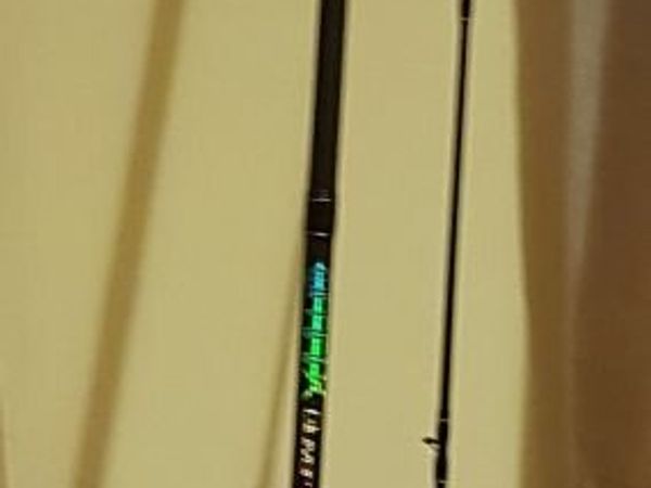 Carp rods for sale in Co. Offaly for €200 on DoneDeal