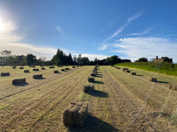 Small bales of hay