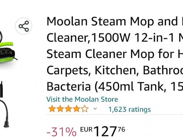 House Steam cleaner