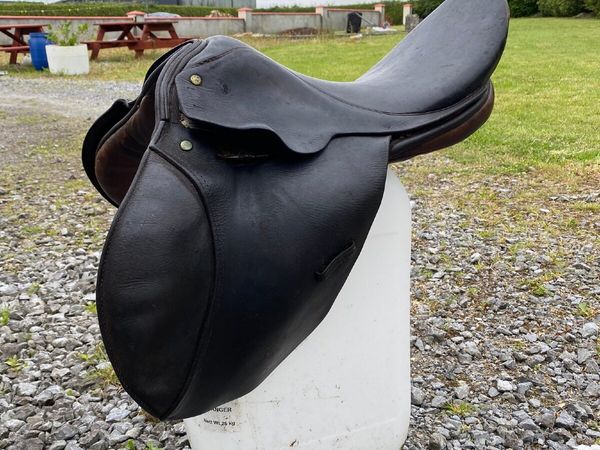 2 Saddles and 1 Bridle