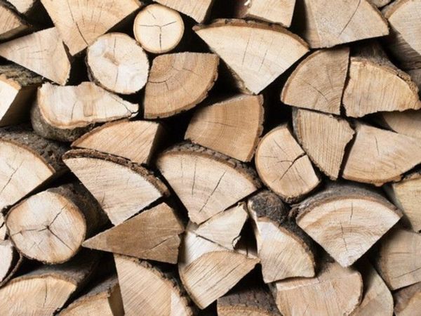 Firewood *Ash* best deals by far