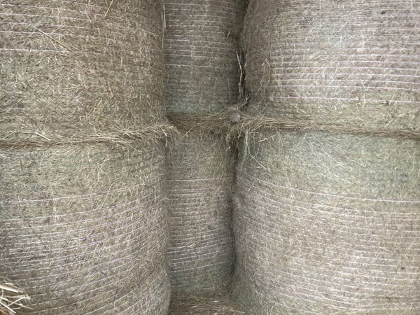 Round bales of Hay and straw
