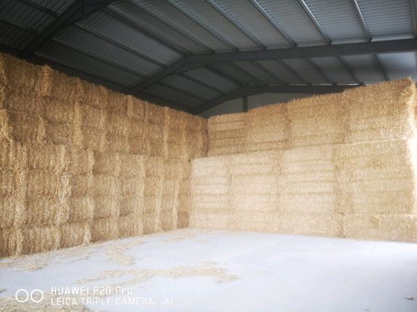 8x4x3 Feed Quality Barley straw