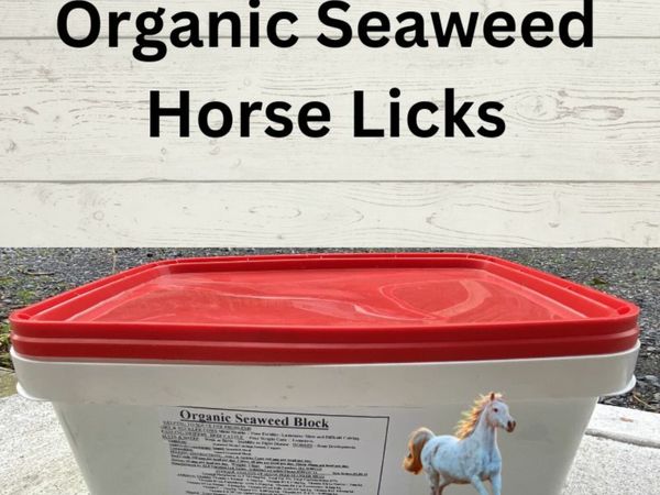 Seaweed Horse Licks