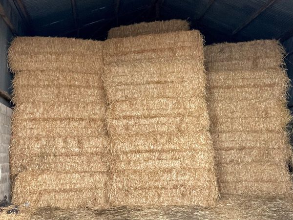 8/4/3 bales of barley straw.