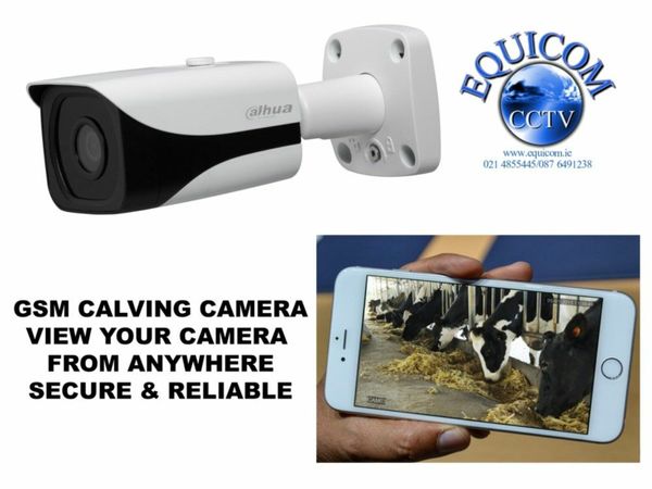 Calving Camera & Security