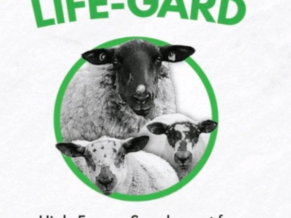 Life-Gard Twin Lamb Support