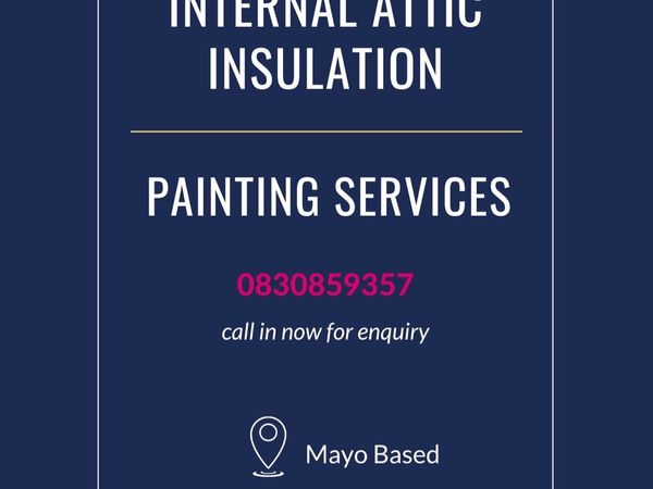 Attic insulation interior painting
