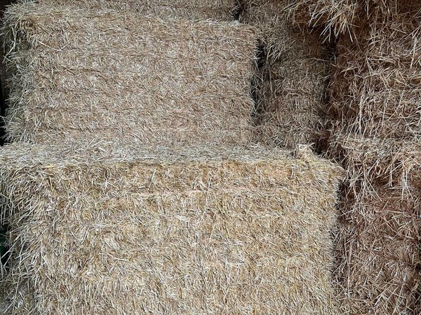 Green hay and golden straw for sale