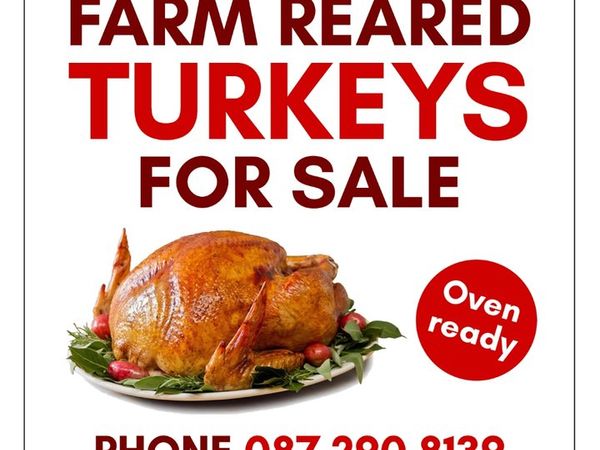 Farm Reared Turkeys