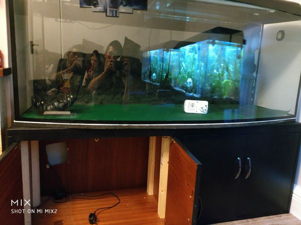450l fish tank.
