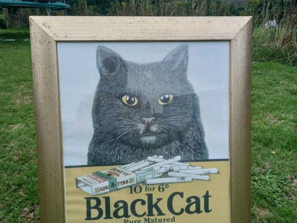 Black Cat Cigs Framed Ad