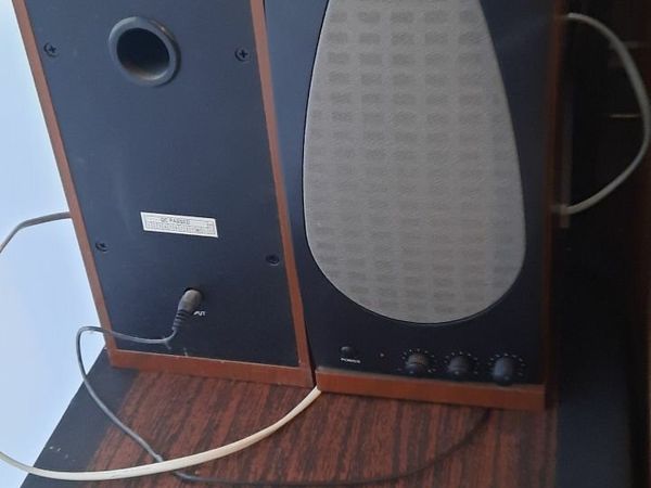 Two Computer Speakers