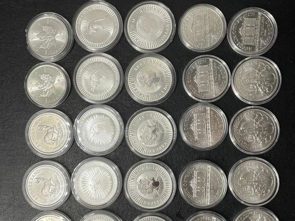 Silver Bullion Coins 1oz - 26 pieces