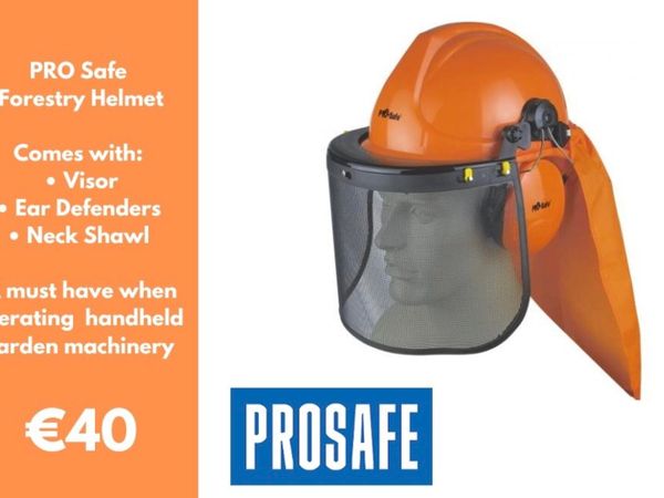 Pro Safe Forestry Helmet
