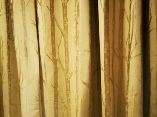Curtains ivory cream gold design
