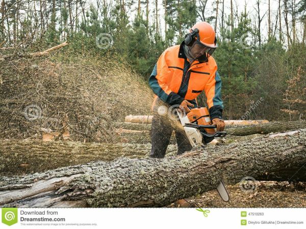 Affordable Chainsaw Operator.