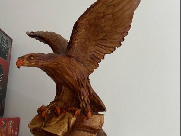 Golden eagle 18” x 12”. 3kgs