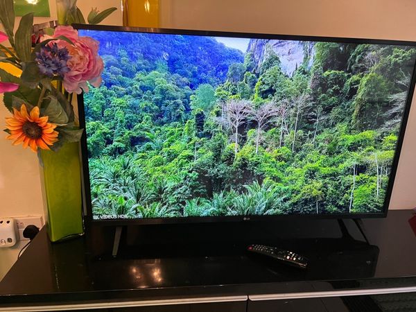 LG SMART 43” TV with magic remote in swords