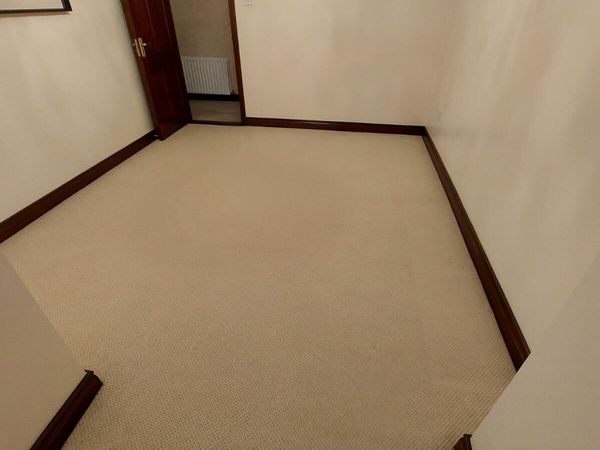 Cream carpet, very good condition