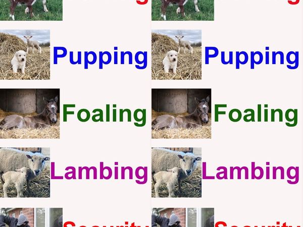 Rotating - Calving - Lambing - Security  from  €50