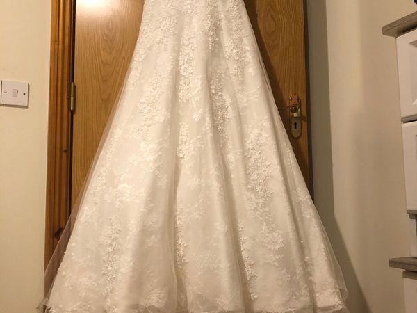 Wedding dress with a vail