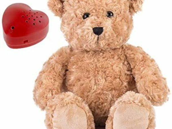 Classic Brown Recordable Teddy Bear Gift - 40cm/16