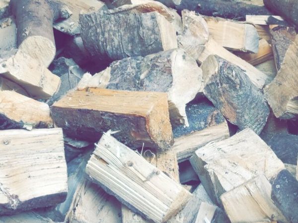 Hardwood ash firewood