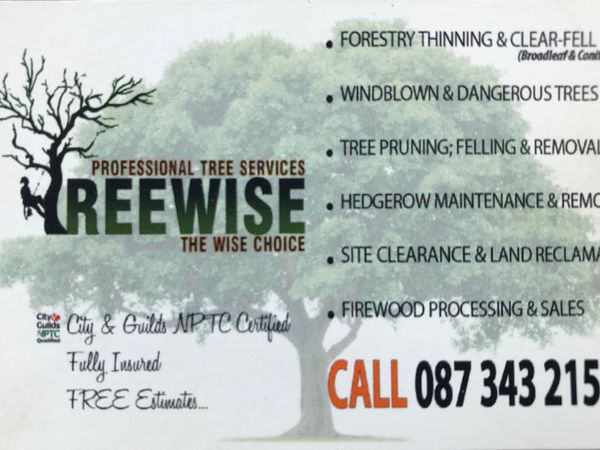Treewise Tree Services