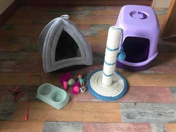 cat litter tray. bed,s cratch pole  and assesories