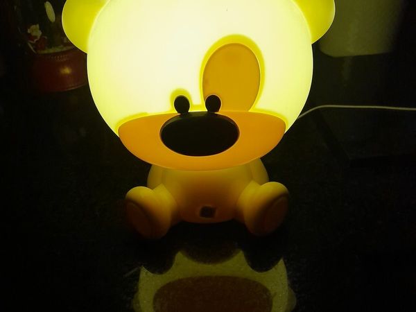 Teddy night light